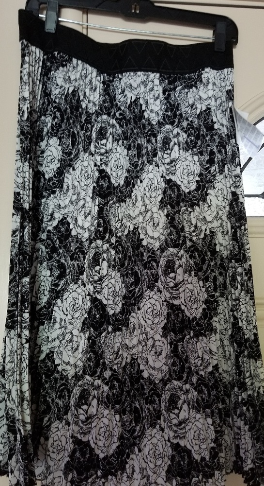Skirt/thicker pleats than normal